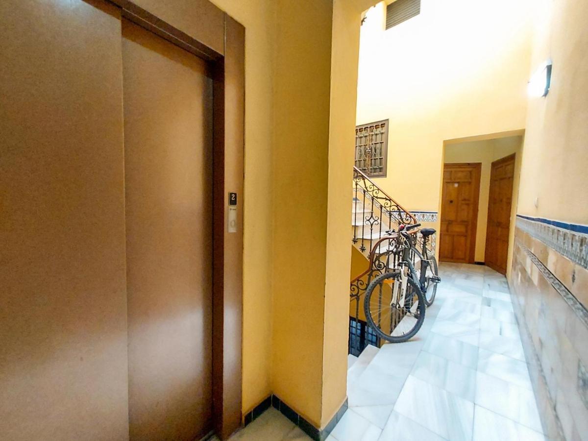 Appartement Alameda Calatrava Sevilla